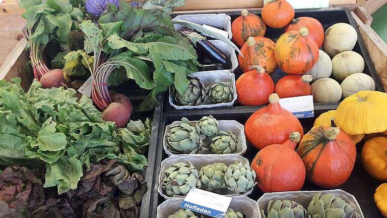 Erntezeit auf dem Schlockerhof Hattersheim Frisches Gemüseangebot im Schlockerhof Hattersheim